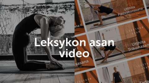 Leksykon Asan Video - okładka