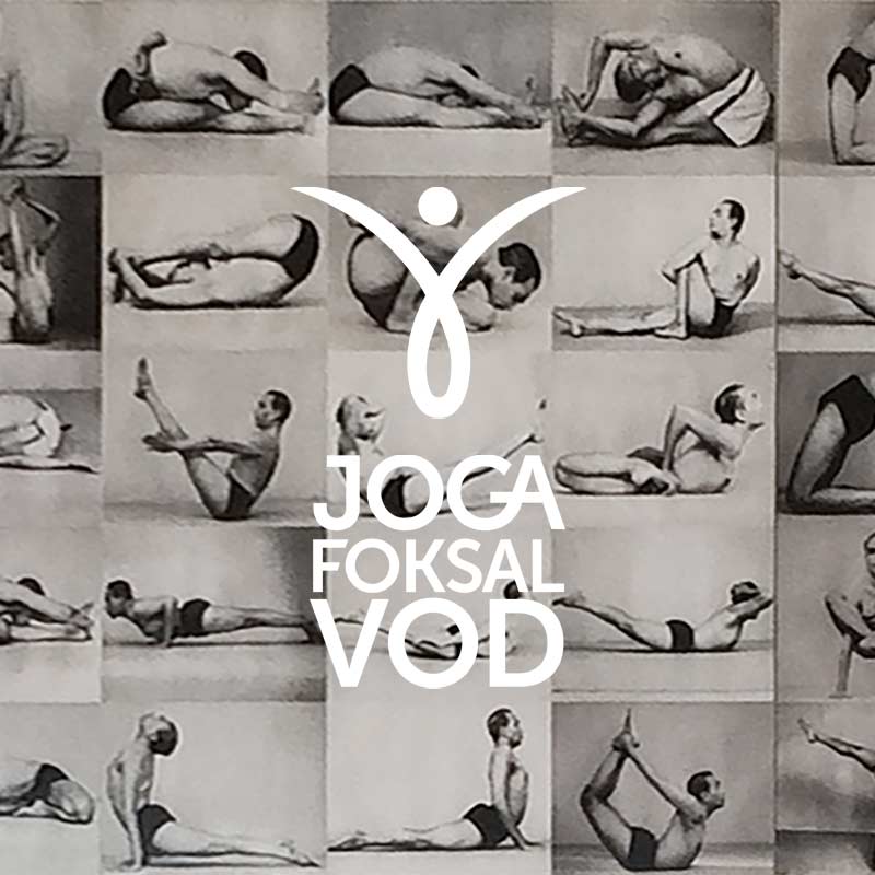 Joga Foksal VOD - pozycje jogi Iyengara